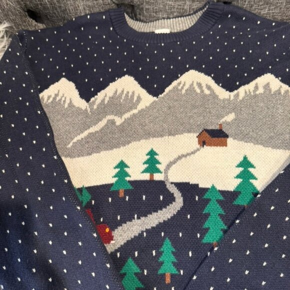 Hanna Andersson Men’s Sweater Size XL Excellent Christmas Tree Cotton/Wool Blend - Picture 3 of 8